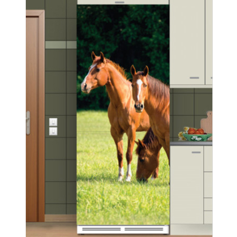 Αυτοκόλλητο ψυγείου με Άλογα